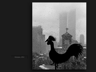 Κόκορας, 1952
 