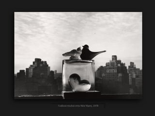 Γυάλινα πουλιά στην Νέα Υόρκη, 1978
 