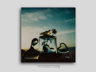 Από το παράθυρό μου, Πολαρόιτ
 