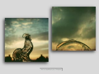 Από το παράθυρό μου, Πολαρόιτ
 