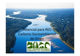Potencial para RED
Carbono Socioambiental
       de Xingu
 