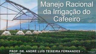 Manejo Racional
da Irrigação do
Cafeeiro

PROF. DR. ANDRÉ LUÍS TEIXEIRA FERNANDES -

 