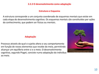 2.2.2 O desenvolvimento como adaptação

                                    Estrutura e Esquema

 A estrutura corresponde a um conjunto coordenado de esquemas mentais que existe em
 cada etapa do desenvolvimento cognitivo. Os esquemas mentais são constituídos por ações
 do conhecimento, que podem ser físicas ou mentais.




                       Adaptação

Processo através do qual o sujeito altera o seu comportamento
em função de novos elementos que recebe do meio, permitindo
alcançar um equilíbrio entre si e o meio. O desenvolvimento
cognitivo, segundo Piaget, consiste numa adaptação do indivíduo
ao meio.
 