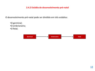 2.4.2 Estádio de desenvolvimento pré-natal



O desenvolvimento pré-natal pode ser dividido em três estádios:

    •O germinal;
    •O embrionário;
    •O fetal;


                      Germinal            →   Embrionário
                                              Embrionário          →   Fetal
 