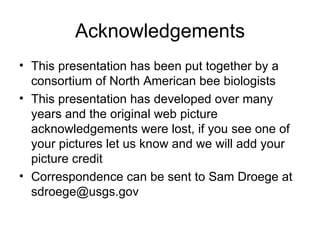 Acknowledgements <ul><li>This presentation has been put together by a consortium of North American bee biologists </li></u...
