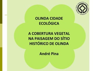 OLINDA CIDADE ECOLÓGICA A COBERTURA VEGETAL NA PAISAGEM DO SÍTIO HISTÓRICO DE OLINDA André Pina 