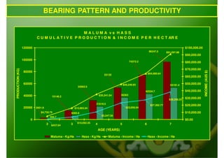 BEARING PATTERN AND PRODUCTIVITY

                                                    MALUMA vs HASS
                           C U M U L A T I V E P R O D U C T I O N & I N C O M E P E R H E C T AR E

                  120000                                                                                                                      $100,000.00
                                                                                                                 96247.5       $91,297.88
                                                                                                                                              $90,000.00
                  100000
                                                                                                   74372.2                                    $80,000.00

                                                                                                                                              $70,000.00
PRODUCTION (KG)




                                                                                                                                                            INCOME (AUS $)
                  80000
                                                                                                                 $64,080.64
                                                                                53132
                                                                                                                                              $60,000.00

                  60000                                                                       $49,249.93                          53191.4
                                                                                                                                              $50,000.00
                                                           32062.5
                                                                                                             42534.7                          $40,000.00
                  40000                                                     $35,341.04     36363
                                         15146.2
                                                                                                                                 $38,266.33
                                                                                                                                              $30,000.00
                                                                        21619.5
                                                                                                                  $27,362.77                  $20,000.00
                  20000    2601.9                        $15,993.54                             $23,056.04
                              $4,730.75             6260.8                                                                                    $10,000.00
                                                                              $3,347.36
                                        466.7
                       0                                                                                                                      $0.00
                                    2               3      $10,592.35   4                 5                  6                   7
                                        $437.04
                                                                            AGE (YEARS)

                                        Maluma - Kg/Ha        Hass - Kg/Ha         Maluma - Income / Ha          Hass - Income / Ha
 