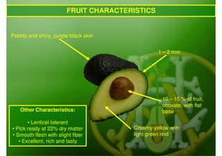 FRUIT CHARACTERISTICS


Pebbly and shiny, purple-black skin


                                                1 – 2 mm




                                                  10 – 15 % of fruit,
                                                  obovate, with flat
   Other Characteristics:                         base

       • Lenticel tolerant
• Pick ready at 22% dry matter         Creamy-yellow with
• Smooth flesh with slight fiber       light green rind
   • Excellent, rich and tasty
 