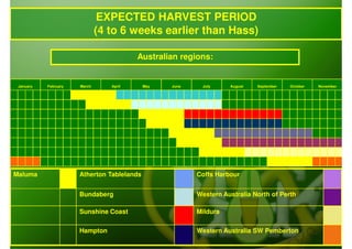 EXPECTED HARVEST PERIOD
                              (4 to 6 weeks earlier than Hass)

                                         Australian regions:


 January   February   March      April      May   June    July     August   September   October   November




Maluma                Atherton Tablelands                Coffs Harbour


                      Bundaberg                          Western Australia North of Perth

                      Sunshine Coast                     Mildura

                      Hampton                            Western Australia SW Pemberton
 