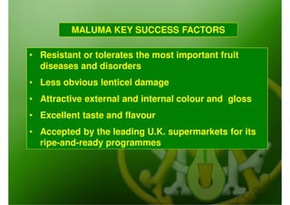 MALUMA KEY SUCCESS FACTORS

• Resistant or tolerates the most important fruit
  diseases and disorders
• Less obvious lenticel damage
• Attractive external and internal colour and gloss
• Excellent taste and flavour
• Accepted by the leading U.K. supermarkets for its
  ripe-and-ready programmes
 