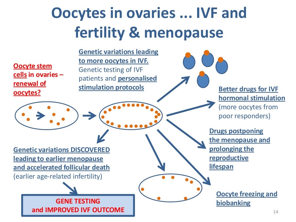 IVF Treatments An Overview NEWLIFE INDIA