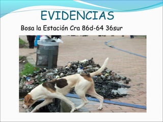 EVIDENCIAS
Bosa la Estación Cra 86d-64 36sur