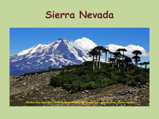 Sierra Nevada




Media-alta montaña mediterránea: Huellas glaciares, peri glaciarismo, pastos alpinos
 