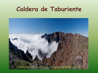 Caldera de Taburiente




Caldera volcánica y erosiva, pinar canario, vegetación rupícola
 