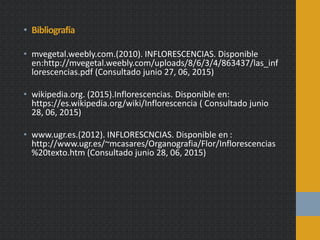 • Bibliografía
• mvegetal.weebly.com.(2010). INFLORESCENCIAS. Disponible
en:http://mvegetal.weebly.com/uploads/8/6/3/4/863437/las_inf
lorescencias.pdf (Consultado junio 27, 06, 2015)
• wikipedia.org. (2015).Inflorescencias. Disponible en:
https://es.wikipedia.org/wiki/Inflorescencia ( Consultado junio
28, 06, 2015)
• www.ugr.es.(2012). INFLORESCNCIAS. Disponible en :
http://www.ugr.es/~mcasares/Organografia/Flor/Inflorescencias
%20texto.htm (Consultado junio 28, 06, 2015)
 