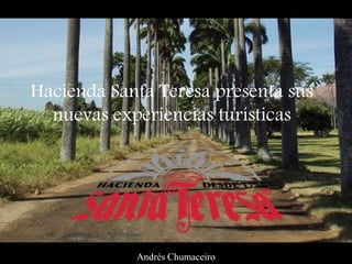 Hacienda Santa Teresa presenta sus
nuevas experiencias turísticas
Andrés Chumaceiro
 