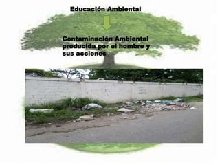 Educación Ambiental
Contaminación Ambiental
producida por el hombre y
sus acciones
 
