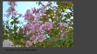 You get to be in a fresh place.