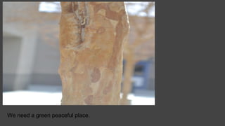 We need a green peaceful place.