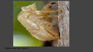 I believe we can save it.