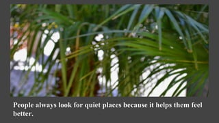 People always look for quiet places because it helps them feel
better.
