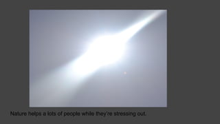 Nature helps a lots of people while they’re stressing out.