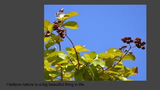 I believe nature is a big beautiful thing in life.