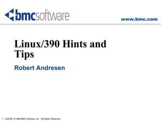 Linux/390 Hints and Tips Robert Andresen 