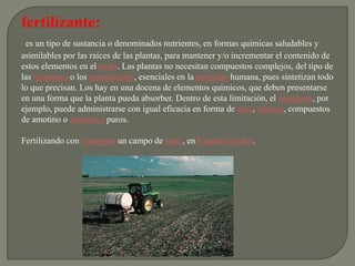 fertilizante:
 es un tipo de sustancia o denominados nutrientes, en formas químicas saludables y
asimilables por las raíces de las plantas, para mantener y/o incrementar el contenido de
estos elementos en el suelo. Las plantas no necesitan compuestos complejos, del tipo de
las vitaminas o los aminoácidos, esenciales en la nutrición humana, pues sintetizan todo
lo que precisan. Los hay en una docena de elementos químicos, que deben presentarse
en una forma que la planta pueda absorber. Dentro de esta limitación, el nitrógeno, por
ejemplo, puede administrarse con igual eficacia en forma de urea, nitratos, compuestos
de amotino o amoníaco puros.

Fertilizando con nitrógeno un campo de maíz, en Estados Unidos.
 