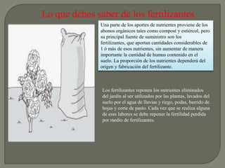 Lo que debes saber de los fertilizantes
               Una parte de los aportes de nutrientes proviene de los
               abonos orgánicos tales como compost y estiércol, pero
               su principal fuente de suministro son los
               fertilizantes, que aportan cantidades considerables de
               1 ó más de esos nutrientes, sin aumentar de manera
               importante la cantidad de humus contenido en el
               suelo. La proporción de los nutrientes dependerá del
               origen y fabricación del fertilizante.



               Los fertilizantes reponen los nutrientes eliminados
               del jardín al ser utilizados por las plantas, lavados del
               suelo por el agua de lluvias y riego, podas, barrido de
               hojas y corte de pasto. Cada vez que se realiza alguna
               de esas labores se debe reponer la fertilidad perdida
               por medio de fertilizantes.
 