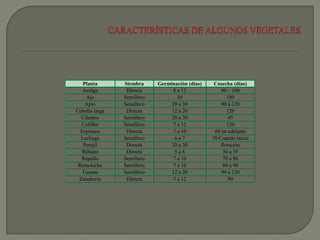 Planta       Siembra     Germinación (días)    Cosecha (días)
   Acelga        Directa          8 a 12             90 – 100
    Ajo         Semillero           10                  180
    Apio        Semillero        20 a 30             90 a 120
Cebolla larga    Directa         12 a 20                120
  Cilantro      Semillero        20 a 30                 45
  Coliflor      Semillero         7 a 12                120
  Espinaca       Directa          7 a 10          60 en adelante
  Lechuga       Semillero          6a7           70 Cuando inicia
   Perejil       Directa         20 a 30             floración
  Rábano         Directa           5a8                30 a 35
  Repollo       Semillero         7 a 10              70 a 80
 Remolacha      Semillero         7 a 10              80 a 90
  Tomate        Semillero        12 a 20             90 a 120
 Zanahoria       Directa          7 a 12                 90
 
