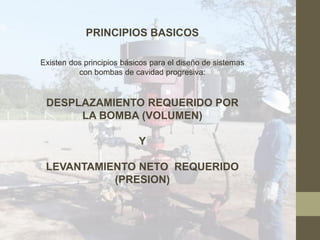 PRINCIPIOS BASICOS
Existen dos principios básicos para el diseño de sistemas
con bombas de cavidad progresiva:
DESPLAZAMIENTO REQUERIDO POR
LA BOMBA (VOLUMEN)
Y
LEVANTAMIENTO NETO REQUERIDO
(PRESION)
 