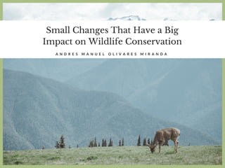 Small Changes That Have a Big
Impact on Wildlife Conservation
A N D R E S M A N U E L O L I V A R E S M I R A N D A
 