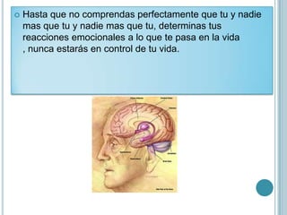    Hasta que no comprendas perfectamente que tu y nadie
    mas que tu y nadie mas que tu, determinas tus
    reacciones emocionales a lo que te pasa en la vida
    , nunca estarás en control de tu vida.
 