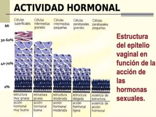 MI 
30-60% 
40-70% 
0% 
 