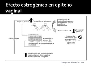 Menopause 2010:17;194-203 
 
