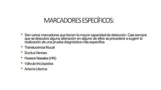 MARCADORESESPECÍFICOS:
• Sonvarios marcadores que tienen la mayor capacidadde detección.Casisiempre
que sedescubra alguna alteración en alguno de ellos seprocederá asugerir la
realización de unaprueba diagnóstica másespecífica
• TranslucenciaNucal
• DuctusVenoso
• HuesosNasales(HN)
• Válvula tricúspidea
• Arteria Uterina
 