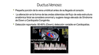 DuctusVenoso:
• Pequeña porción de la venaumbilical antes de sullegada al corazón.
• La alteración en la forma de las ondas obtenidas del flujo de esta estructura
anatómica fetal seconsidera anormal y sugiere riesgo elevado de Síndrome
de Down oCardiopatíaCongénita.
• Detección reportada: 80-90% (Down); detección variable enCardiopatías.
 