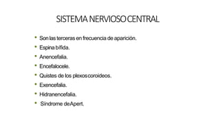 SISTEMANERVIOSOCENTRAL
• Sonlas tercerasen frecuencia de aparición.
• Espinabífida.
• Anencefalia.
• Encefalocele.
• Quistes de los plexoscoroideos.
• Exencefalia.
• Hidranencefalia.
• Síndrome deApert.
 