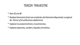 TERCER TRIMESTRE
• Sem32ala36
• Realizarbiometríafetalconmedición deDiámetroBiparietal,Longitud
de Fémur yCircunferencia abdominal.
• Explorarlaanatomíafetalymovimientos.
• Explorarplacenta, cordónylíquido amniótico.
 