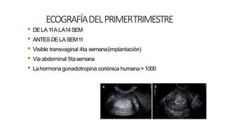 ECOGRAFÍADELPRIMERTRIMESTRE
• DELA 11A LA14SEM
• ANTESDELA SEM11
• Visible transvaginal 4ta semana(implantación)
• Vía abdominal 5tasemana
• Lahormona gonadotropina coriónica humana>1000
 