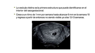 • Lavesícula vitelina esla primera estructura que puede identificarse en el
interior del sacogestacional.
• Creceaun ritmo de 1mm por semana hasta alcanzar 6 mm en la semana10
y regresa apartir de entonces no siendo visible yaalas12-13semanas.
 
