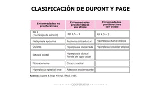 CLASIFICACIÓN DE DUPONT Y PAGE
 