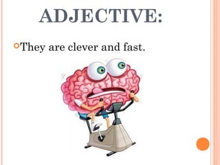 ADJECTIVE:
They are clever and fast.
 