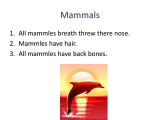 MammalsAll mammles breath threw there nose.Mammles have hair.All mammles have back bones.