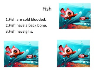 Fish1.Fish are cold blooded.2.Fish have a back bone.3.Fish have gills.