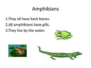 Amphibians1.They all have back bones.2.All amphibians have gills.3.They live by the water.