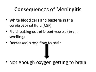 Consequences of Meningitis
• White blood cells and bacteria in the
cerebrospinal fluid (CSF)
• Fluid leaking out of blood vessels (brain
swelling)
• Decreased blood flow to brain
• Not enough oxygen getting to brain
 