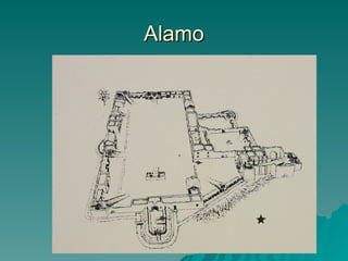 Alamo 