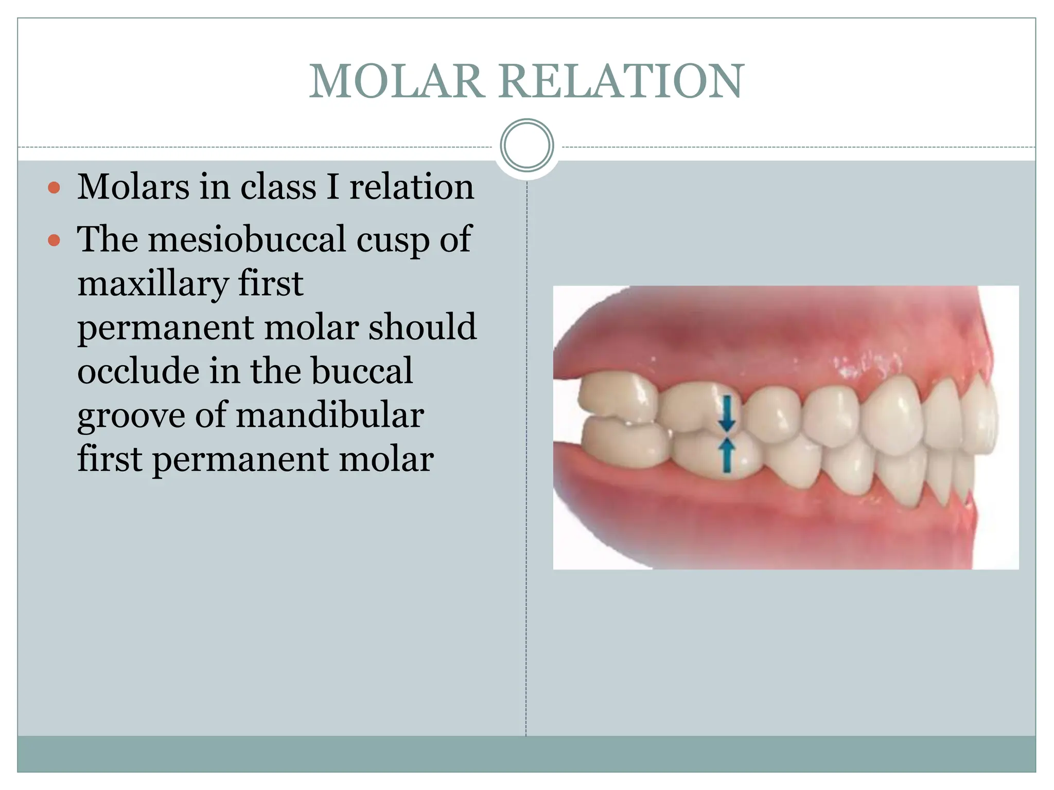 Andrew 6 keys of occlusion-1.pptx orthodontics | PPTX